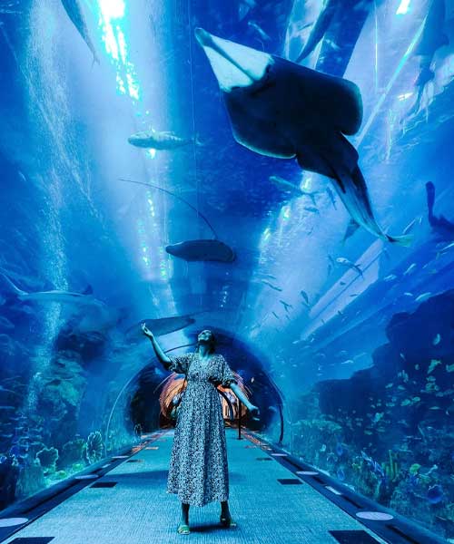 Dubai Aquarium and Underwater Zoo