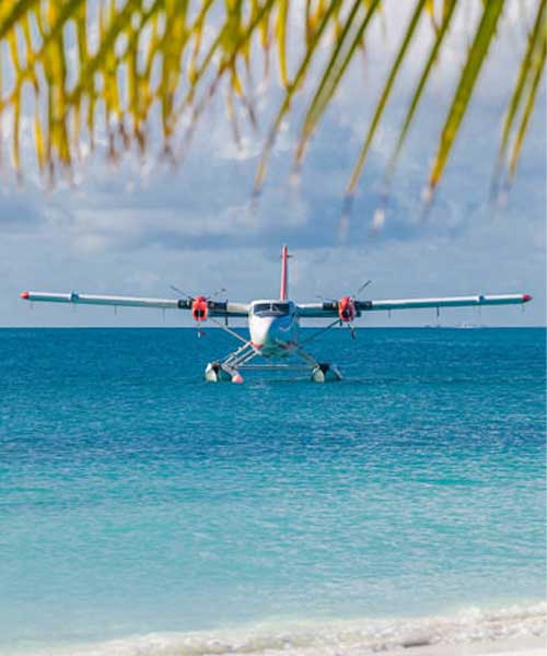 Seaplane Tour