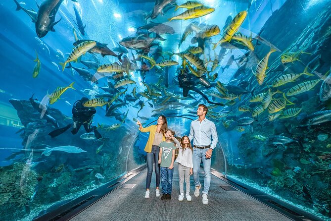 Dubai Mall Aquarium_sandsplus