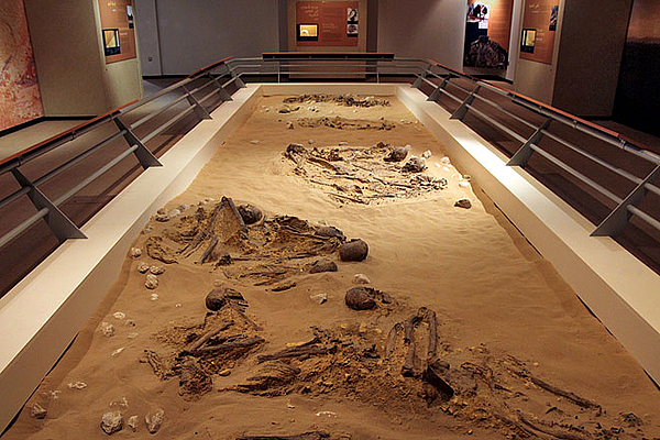 Sharjah Archaeology Museum_sandsplus