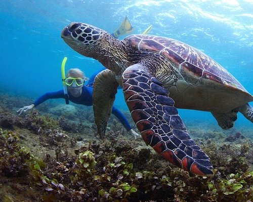 Snorkelling_sandsplus